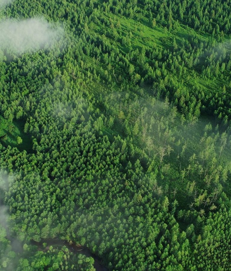 PA����|�й�����